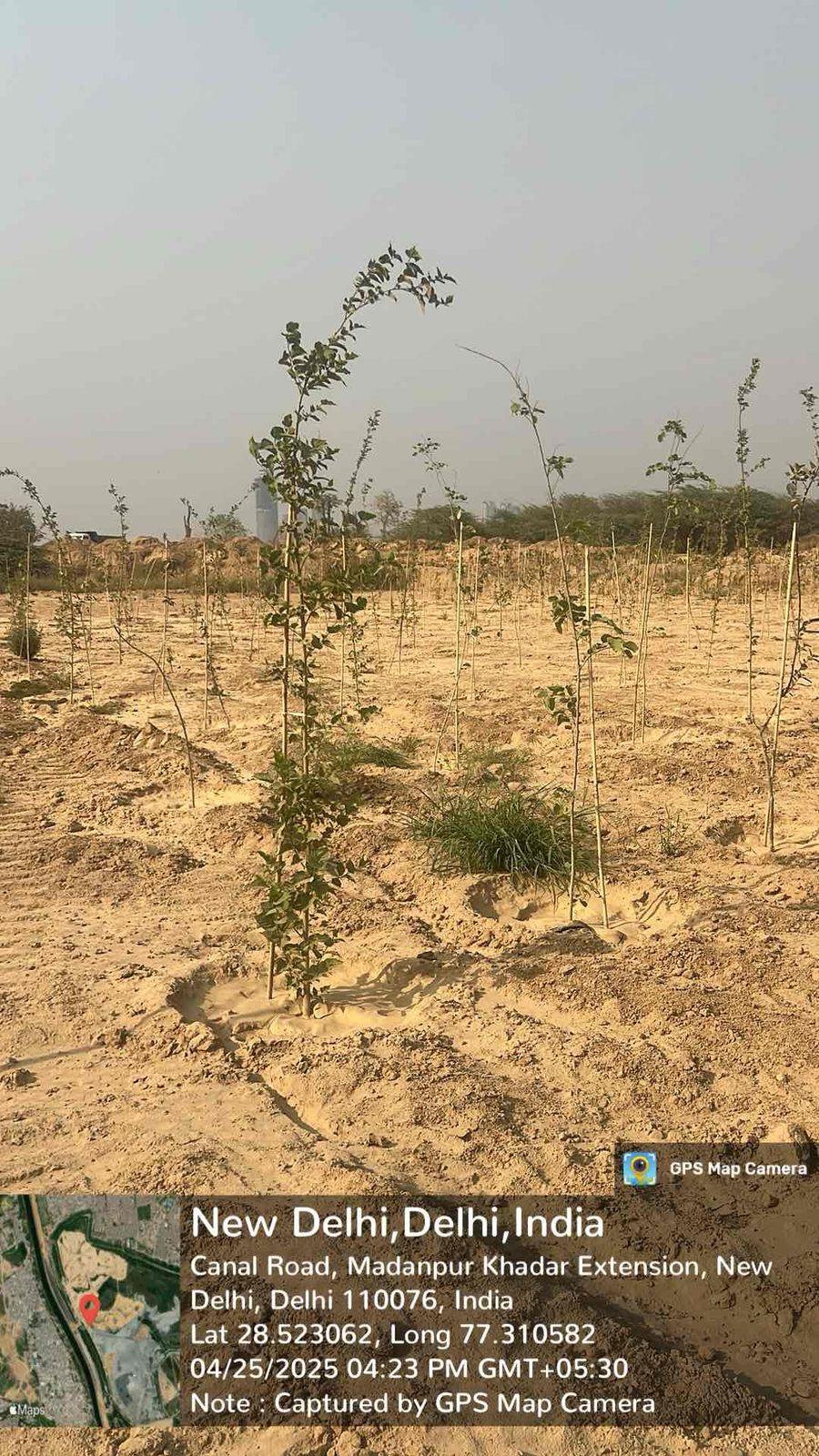 Compensatory Afforestation
